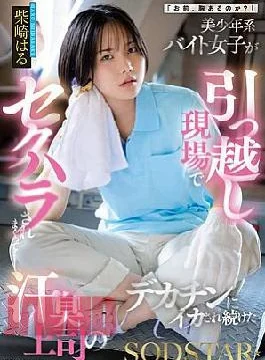 START-507 Real Estate Lady’s Raw Sales Of A Newlywed Couple Who Came To Visit Her