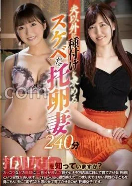 SAN-268 240 Minutes Of A Lewd Egg-hunting Wife Who Seeks Insemination From Someone Other Than
